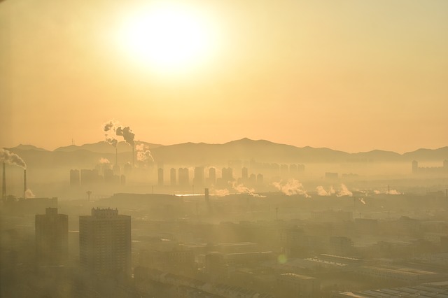 Jak smog wpływa na człowieka?